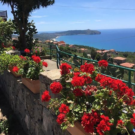 Villa Incanto B&B Caprioli Luaran gambar