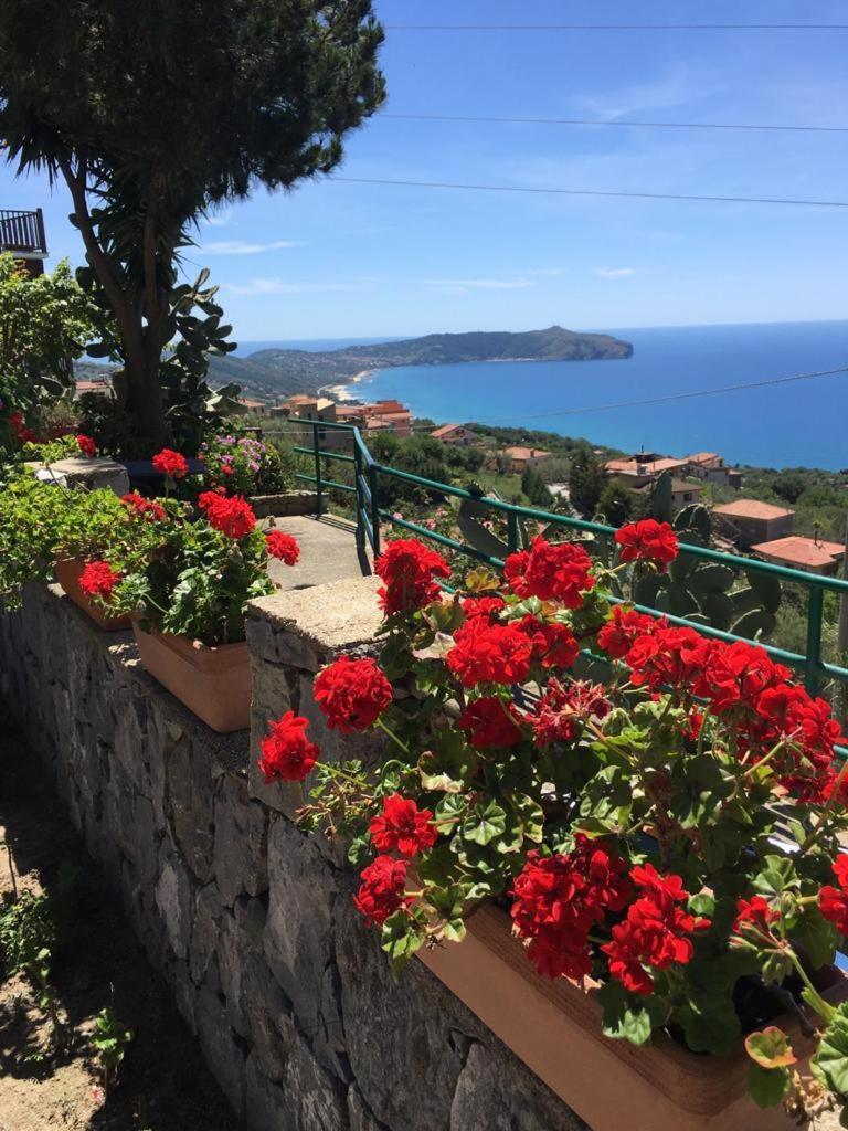 Villa Incanto B&B Caprioli Luaran gambar